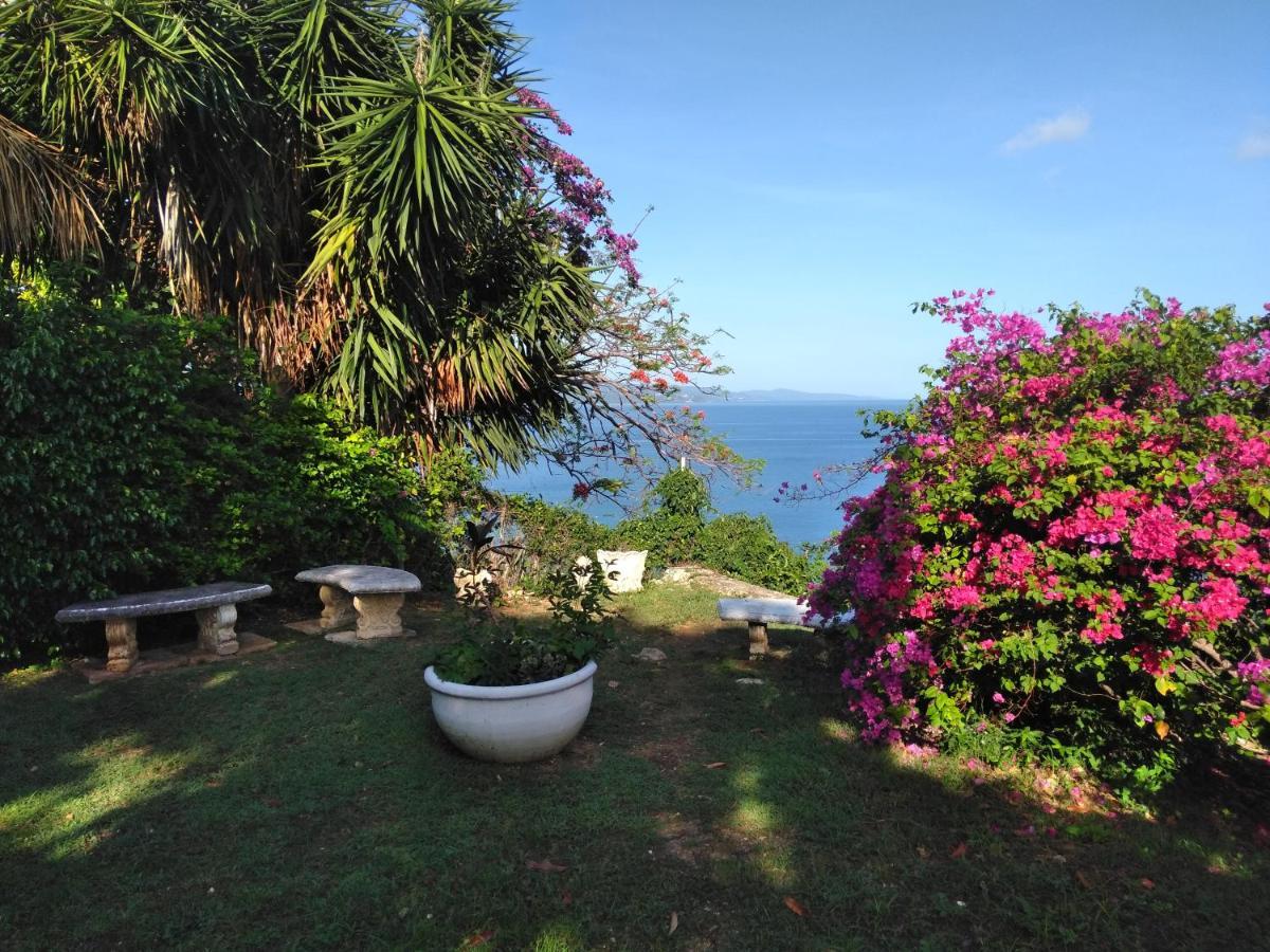 モンテゴ・ベイIrresistible View-Mobay Club 1408アパートメント エクステリア 写真