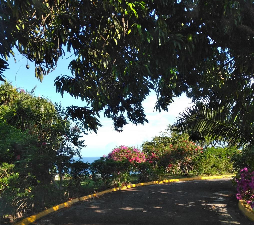 モンテゴ・ベイIrresistible View-Mobay Club 1408アパートメント エクステリア 写真