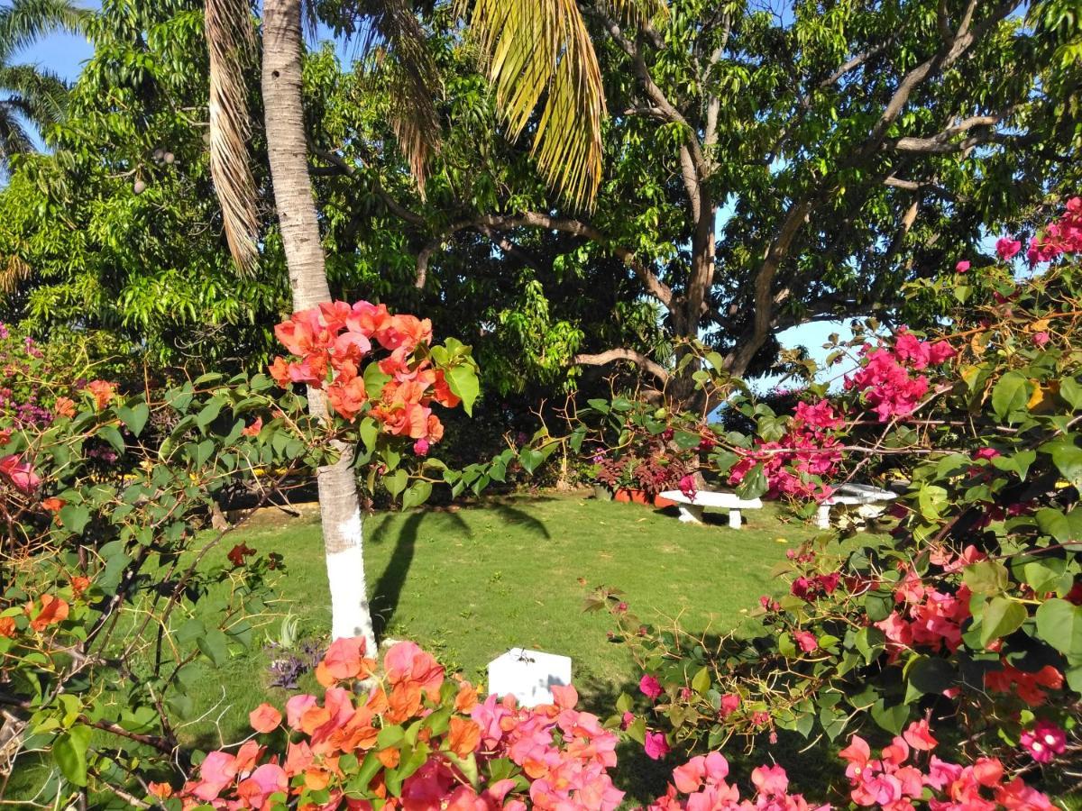 モンテゴ・ベイIrresistible View-Mobay Club 1408アパートメント エクステリア 写真