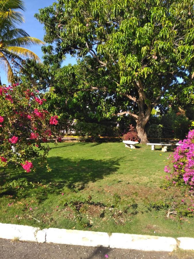 モンテゴ・ベイIrresistible View-Mobay Club 1408アパートメント エクステリア 写真