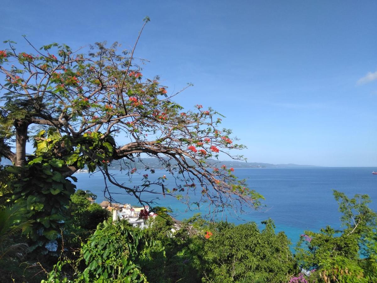 モンテゴ・ベイIrresistible View-Mobay Club 1408アパートメント エクステリア 写真